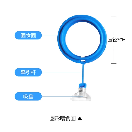 Кормовое кольцо для лечения ферда