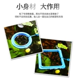 Кормовое кольцо для лечения ферда