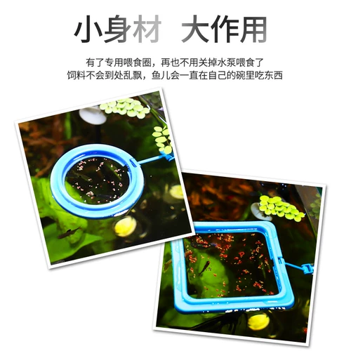 Кормовое кольцо для лечения ферда