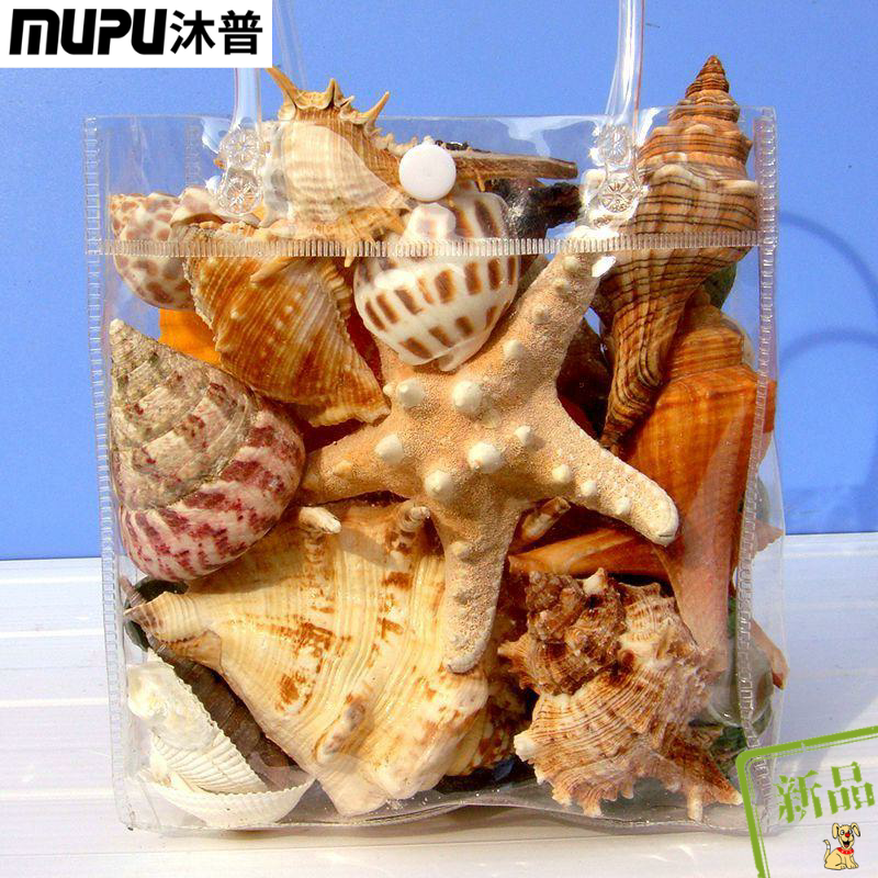 新款$天然海螺贝壳海星珊瑚套装 沐普摆件