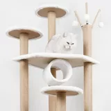 Четыре сезона Раттан Кот Крат кошка, поднимающаяся удушающую виллу большую кошку, забитая колонной, кошачьи кошачьи кошачьи