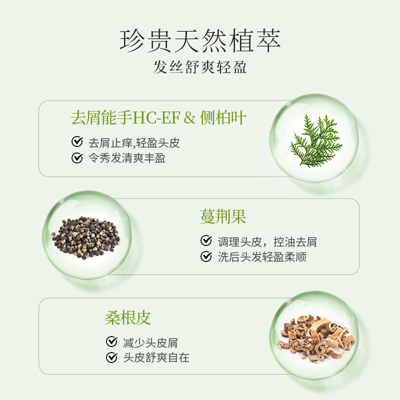 【新】瑷菲诗芦荟水润滋养洗发乳头皮洗发水控油蓬松去屑男女4