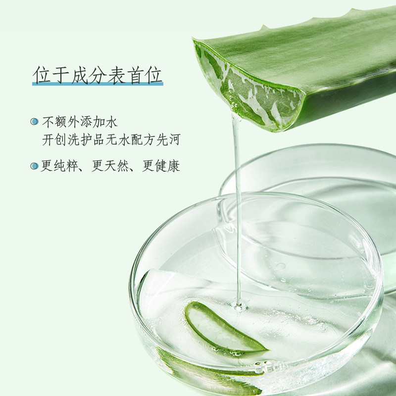 美国瑷菲诗芦荟【家庭套装】洗发水 瑷菲诗洗发水