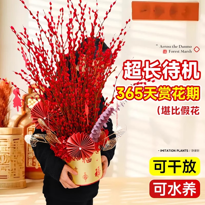 【渠道专享】银柳真花鲜枝干花摆件鲜花绿植物新年宵花卉过年盆栽