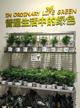 鲜花店陈列展示架移动花架花店落地展示台不锈钢花架展台定制设计