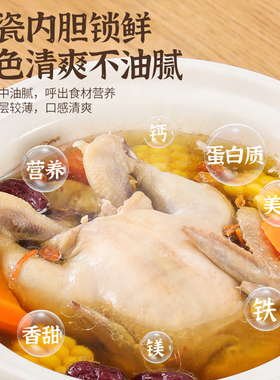 家用白瓷电炖锅全自动煮粥神器