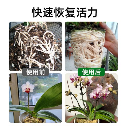 牧狼人兰灵王兰花专用营养液肥料蝴蝶兰君子兰微生物菌剂防治黄叶 - 图0
