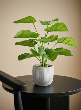 仿真绿植盆栽室内桌面装饰摆件