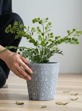 简约水泥花盆室内桌面小盆栽