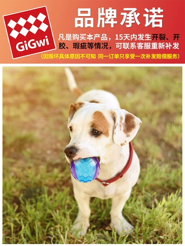 Взрывочный взрыв для собак Эластичный шарик для зубов тренировочный зуб Специальный укус