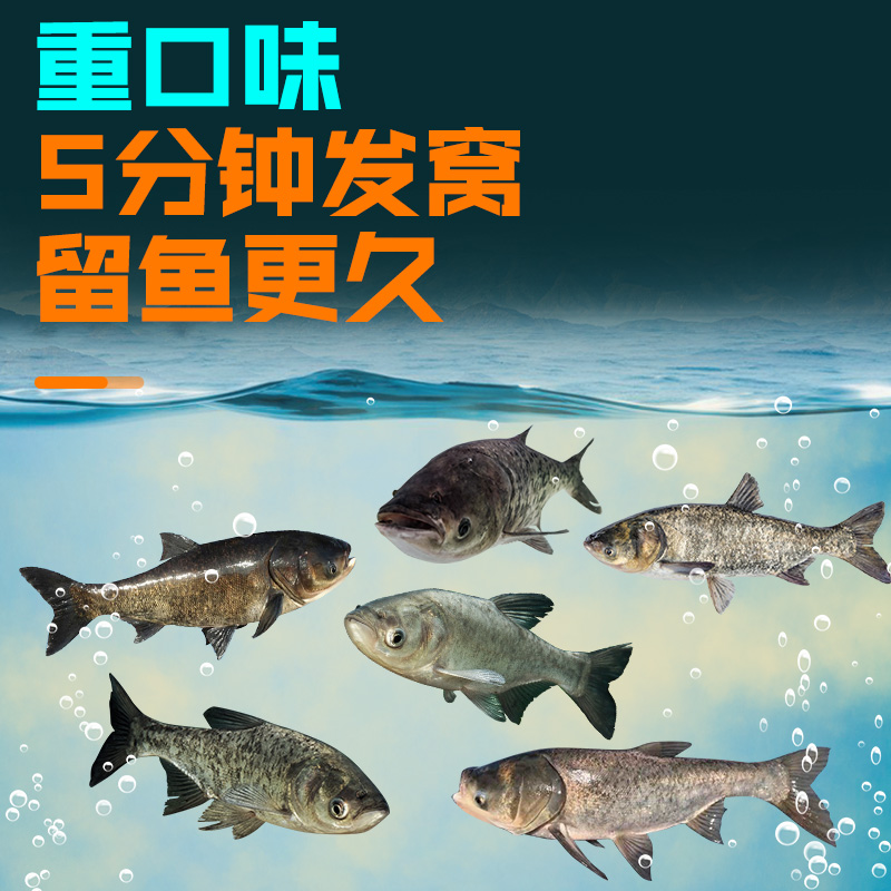 酸臭鲢鳙饵料鱼饵伴侣浮钓鲢鱼大头鱼专用小药助吸饵添加剂诱鱼剂 - 图1