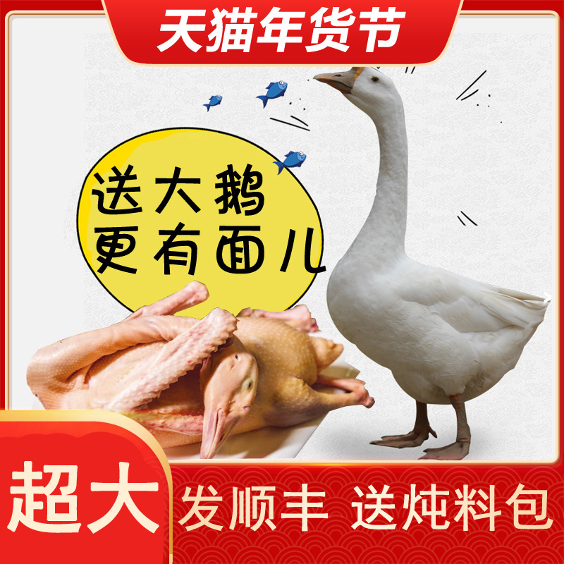 农家现杀散养新鲜大鹅杀后6斤7斤土鹅肉老鹅放养大白鹅冷冻活笨鹅 - 图1