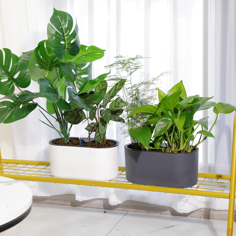 高脚双层加厚懒人长方形花盆 热品库 性价比省钱购