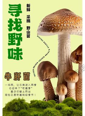 野生菌珍品品质源于自然的馈赠海报展板东方魔汤养生有道墙贴墙纸
