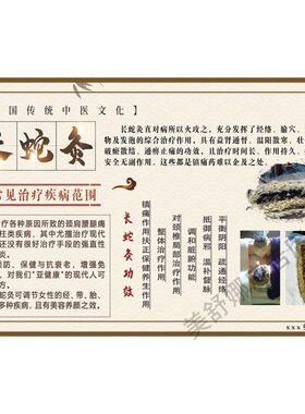 中医养生馆长蛇铺灸装饰画海报理疗馆美容院铺灸宣传画墙贴背景