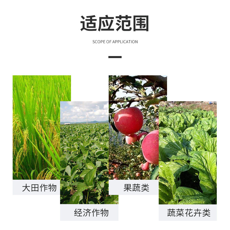 君德枯草芽孢菌杆菌农用微生物菌肥枯草杆菌菌剂菌肥菌种防病肥料