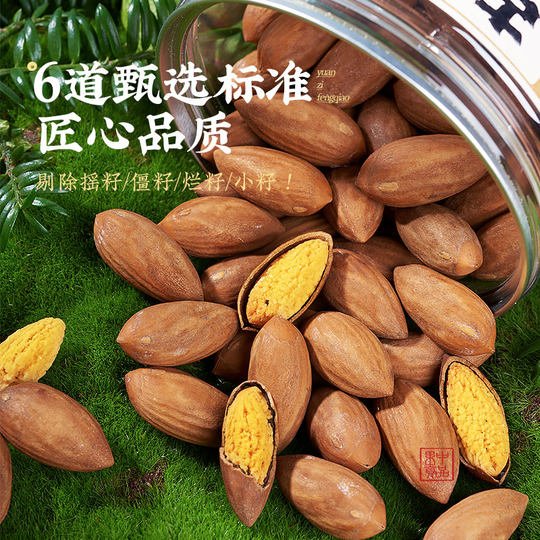 枫桥拾秋2025新货香榧子诸暨特产坚果香榧仁果500g净袋装特级干果