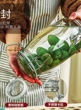 玻璃泡酒罐坛青梅杨酿酒