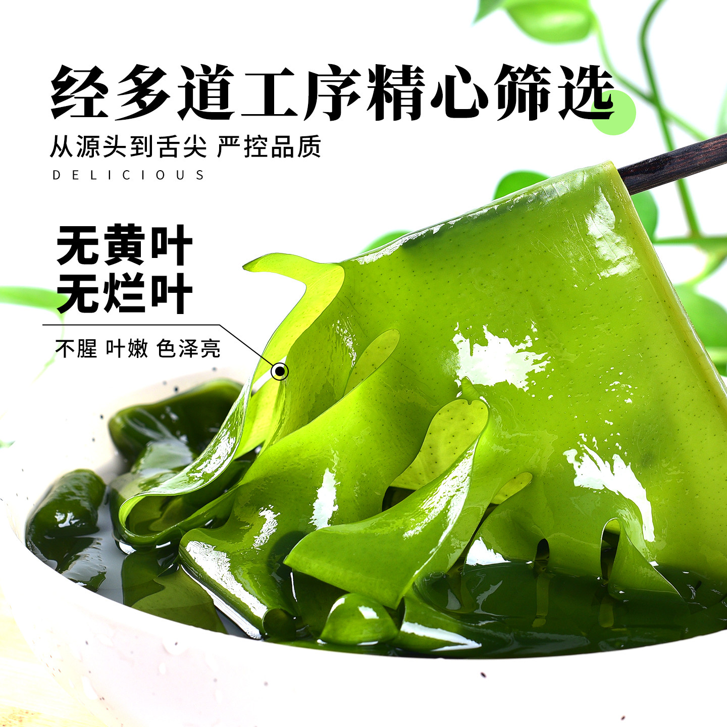 盐渍裙带菜正宗大连海带汤非烘干干货新鲜嫩芽商用批发独立小袋,淘宝优惠券,粉丝福利购,淘宝优惠卷