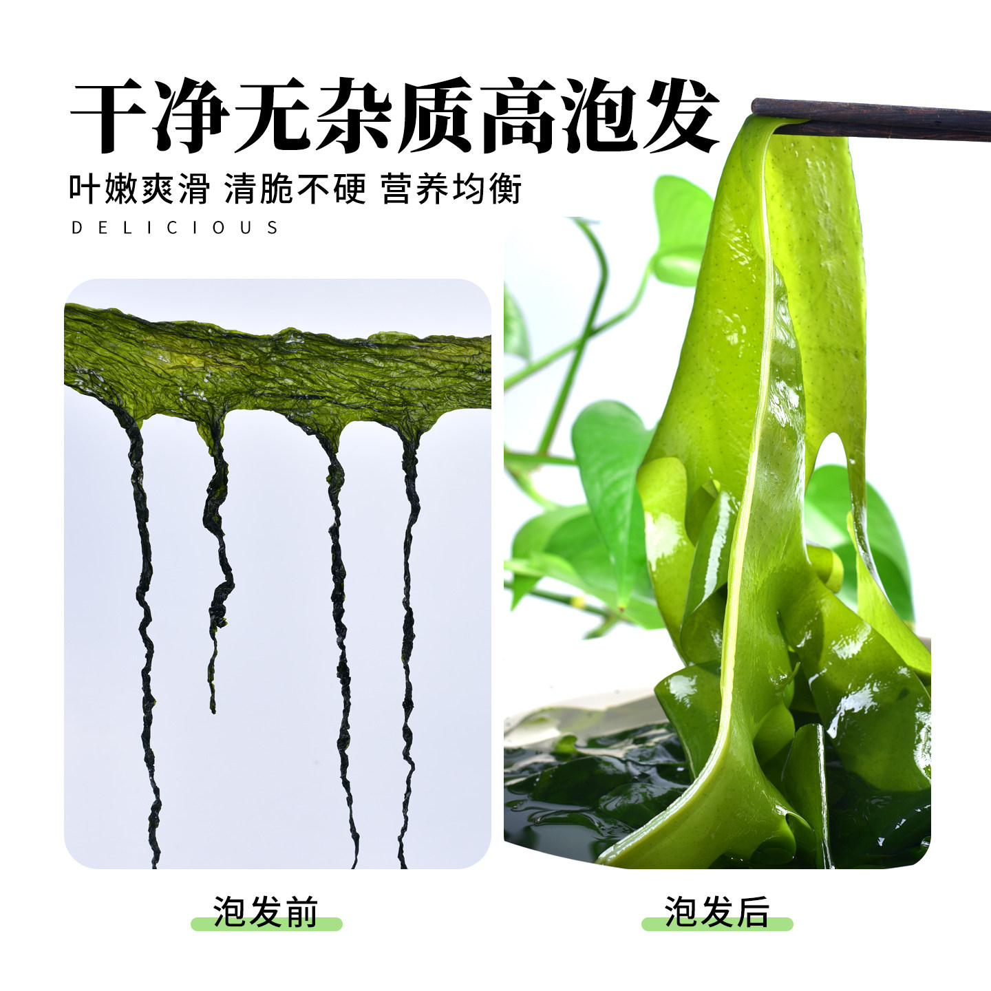 盐渍裙带菜正宗大连海带汤非烘干干货新鲜嫩芽商用批发独立小袋,淘宝优惠券,粉丝福利购,淘宝优惠卷