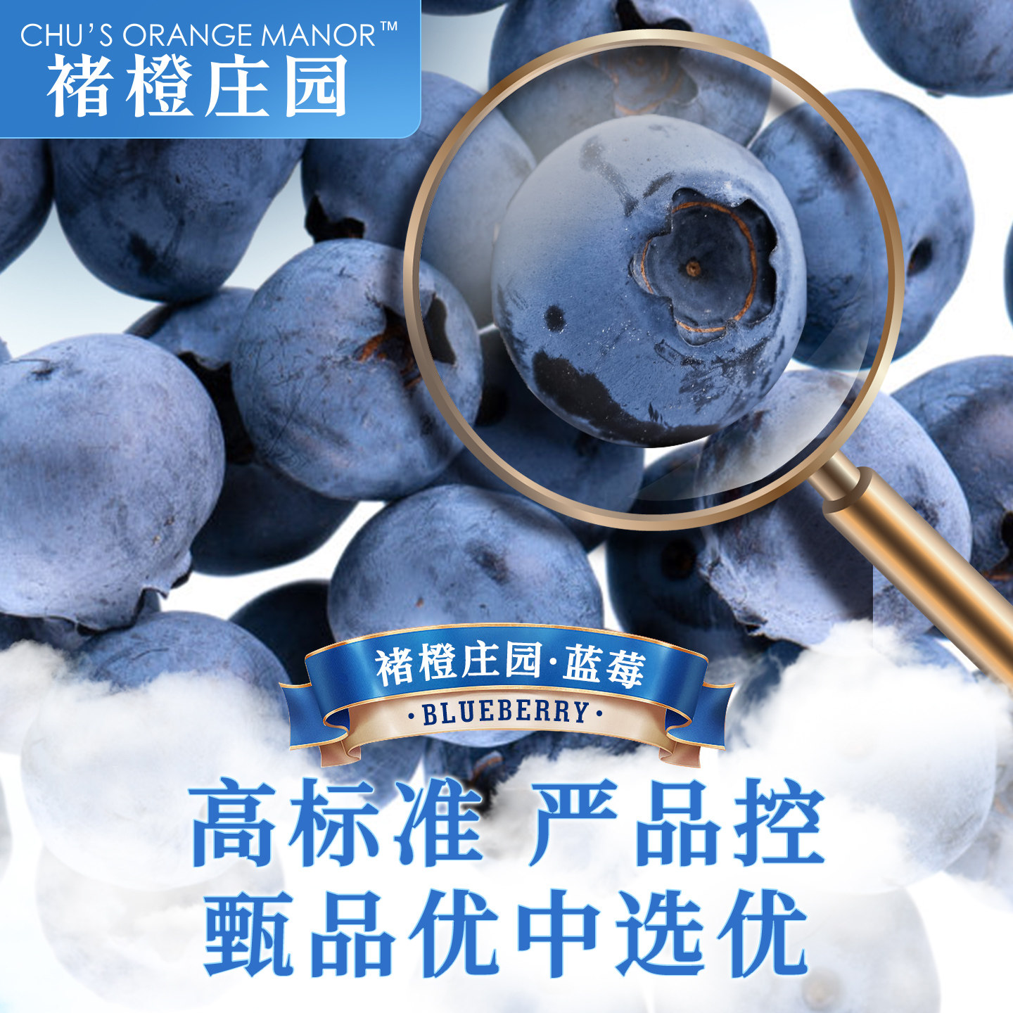 褚橙庄园金标蓝莓花香蓝莓礼盒400g/720g,淘宝优惠券,粉丝福利购,淘宝优惠卷