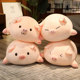 Ragdoll plush toy haha ນອນ
