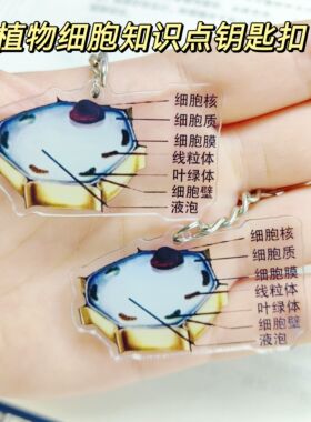 学生礼物生物钥匙扣挂件书包挂件
