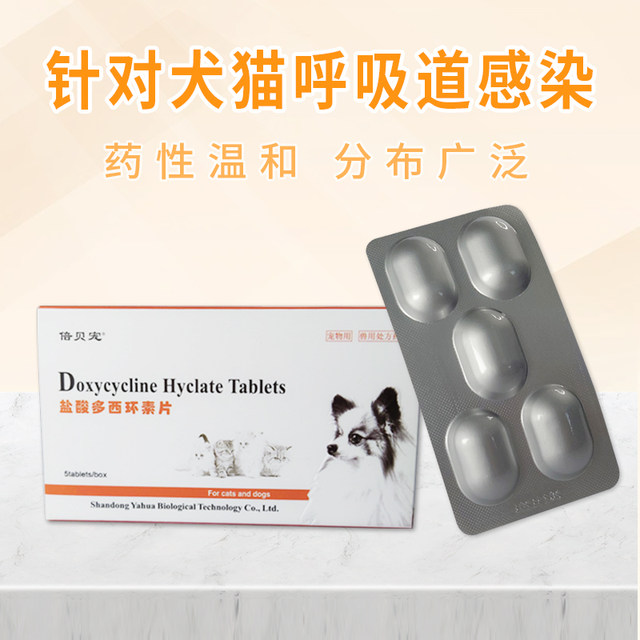 Bebe Pet Doxycycline Cat and Dog Cough Anti-inflammatory Drugs Bebe Pet Doxycycline Cat and Dog Cough Anti-inflammatory Drugs