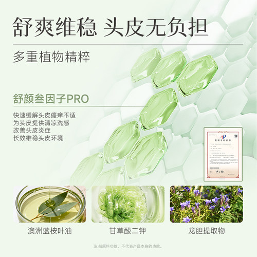 菲诗蔻桉树洗发水护发素套装蓬松去屑改善打结洗护官方旗舰店正品 - 图3