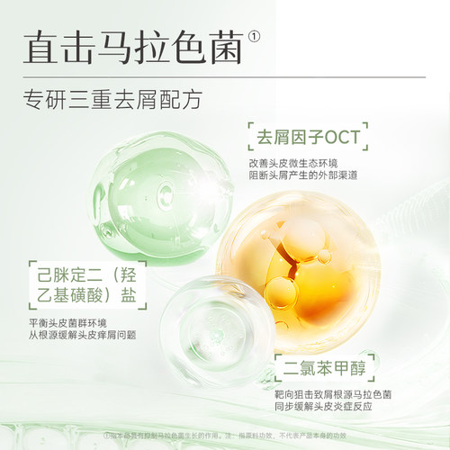 菲诗蔻桉树洗发水护发素套装蓬松去屑改善打结洗护官方旗舰店正品 - 图1