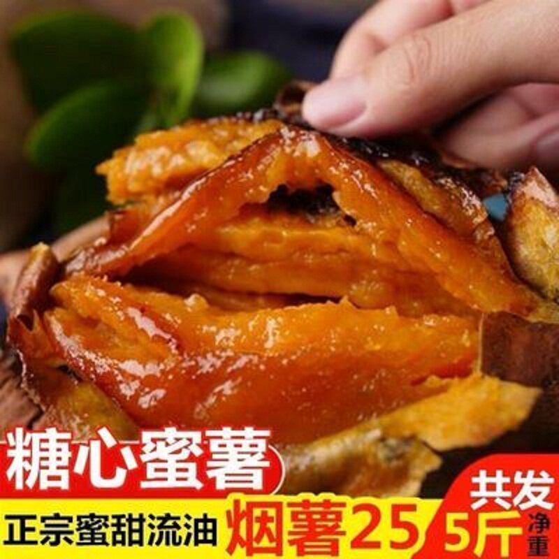 蜜薯流油糖心新鲜10斤烟薯25新红薯 夏卡番薯