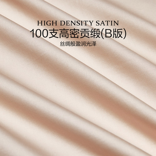 水星家纺100S长绒棉四件套厚织提花法式轻奢高端被套床笠床品26新 - 图1