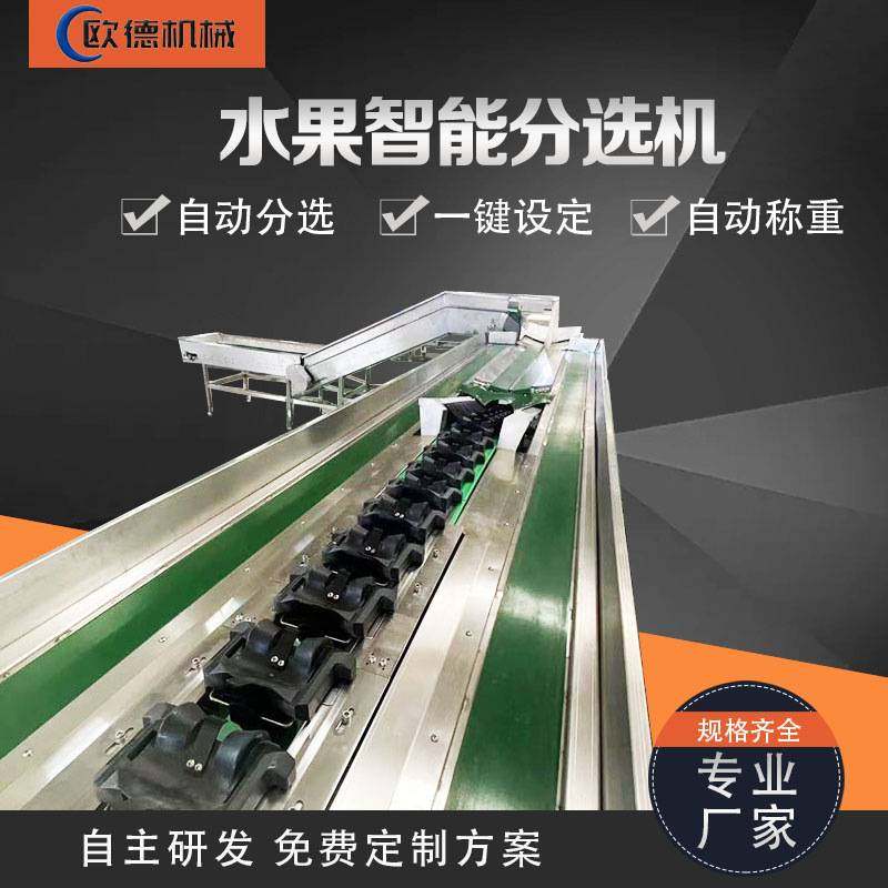 猕猴桃分选流水线 火龙果橙子苹果一机多用 全自动水果智能分选机,淘宝优惠券,粉丝福利购,淘宝优惠卷
