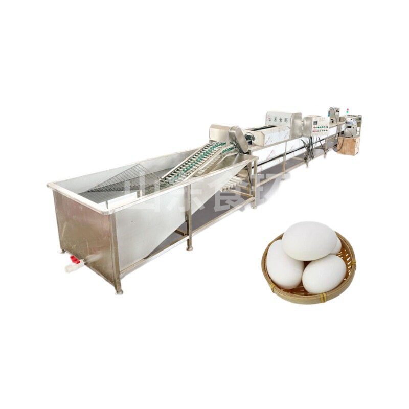 全自动单排洗蛋机 鸡鸭蛋全自动大型清洗风干设备 粪蛋清洗分级机,淘宝优惠券,粉丝福利购,淘宝优惠卷