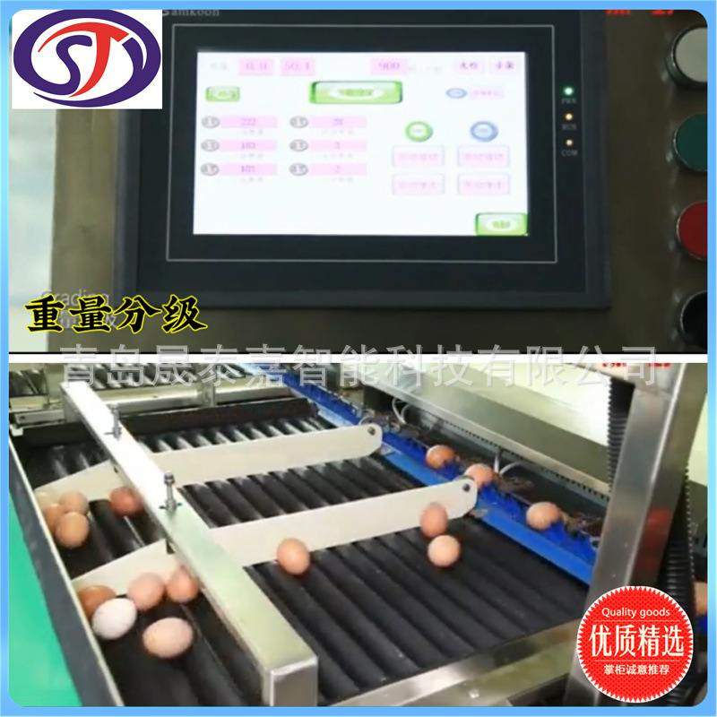 鸡蛋分级机 晟泰嘉选蛋机器 裂纹蛋视觉检测 孵化场鸡蛋选蛋机,淘宝优惠券,粉丝福利购,淘宝优惠卷
