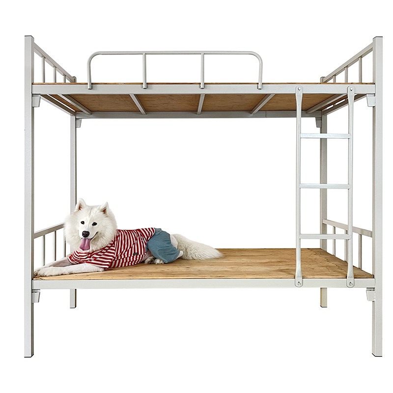 上下铺铁架床学生双层铁床加厚架子床床双人方工地员工高低宿舍管,淘宝优惠券,粉丝福利购,淘宝优惠卷