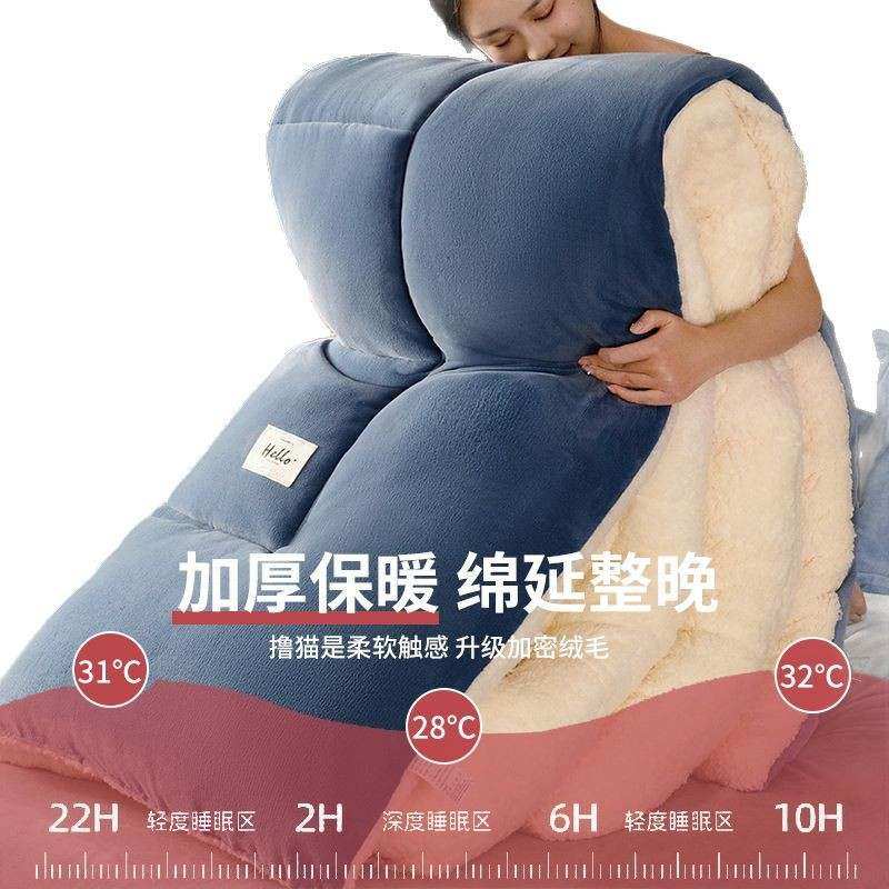 羊羔绒被子2025新款冬季棉被芯加厚10宿舍斤单人冬天被秋冬被保暖,淘宝优惠券,粉丝福利购,淘宝优惠卷