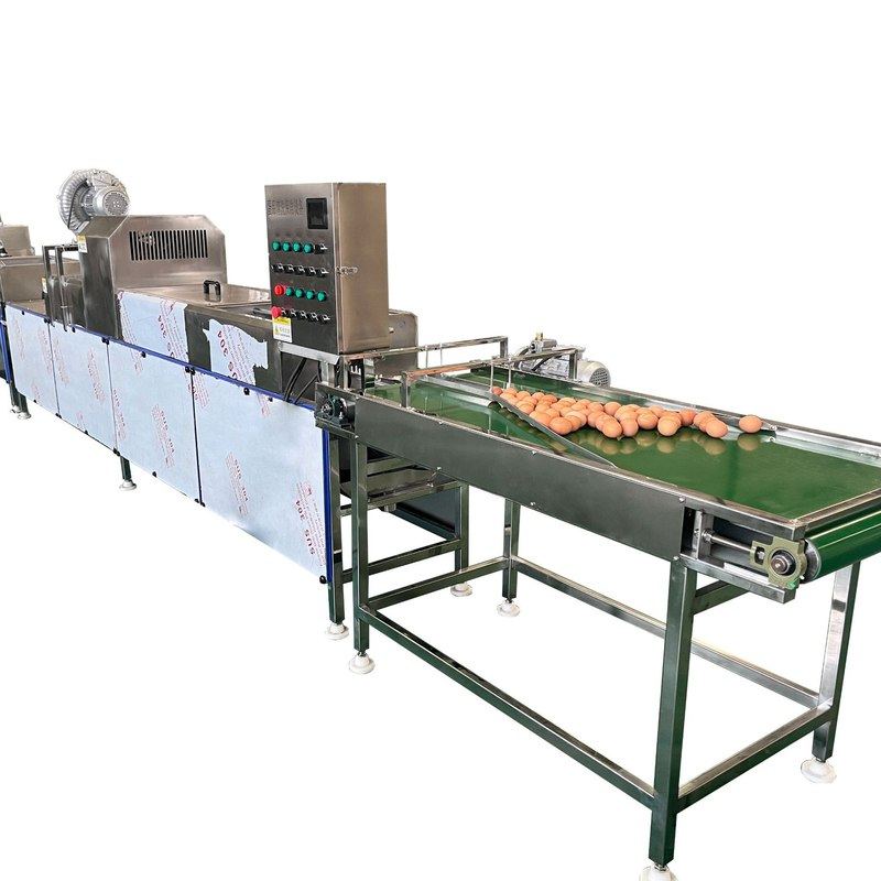 包灰蛋清洗风干 鸡蛋清洗机 泥蛋腌制清洗去泥清洗机 鸭蛋洗蛋机,淘宝优惠券,粉丝福利购,淘宝优惠卷