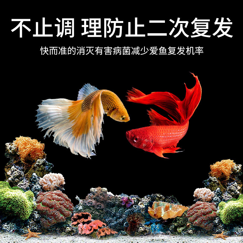 高效庆大霉素鱼用亚甲基蓝水族专用鱼药烂身烂尾黄粉疾病-图1