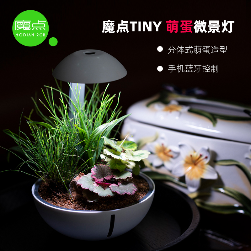 魔点TINY萌蛋景观灯水草灯植物照明补光灯室内景观灯苔藓灯-图1