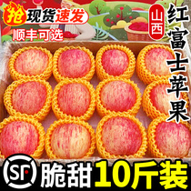 Shanxi Red Fuji apples fresh should season fruit whole boxes crisp and sweet ice candy with ugly apple gaggle 10 catty