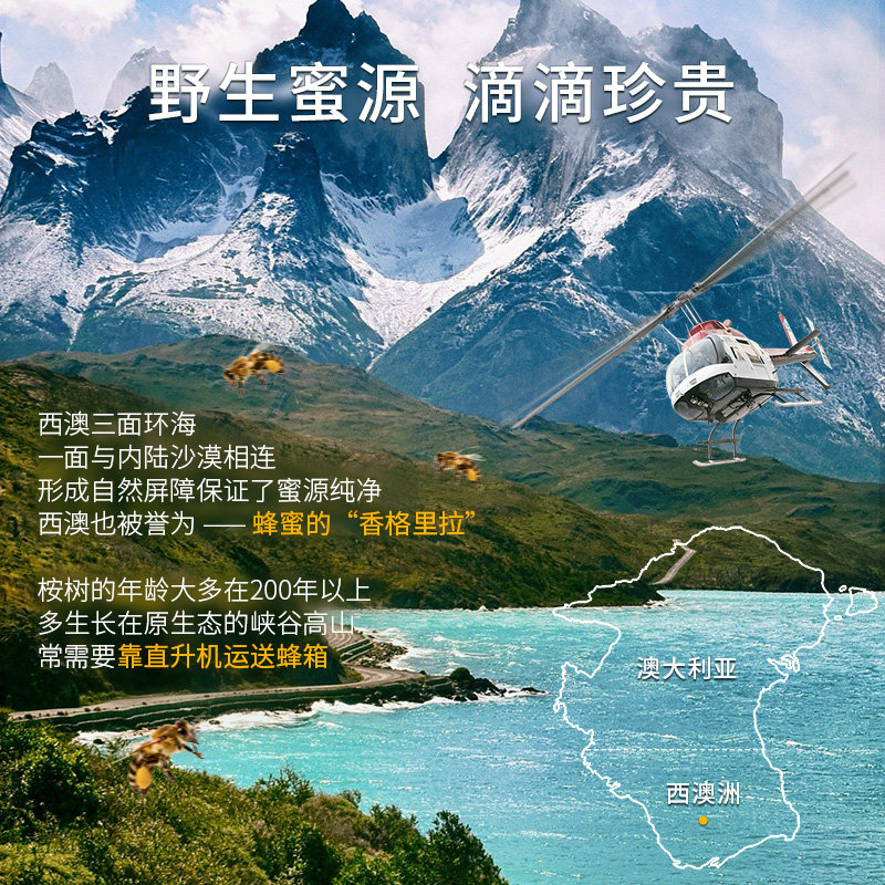 karibee澳洲原装进口麦卢卡25蜂蜜 karibee食品蜂蜜