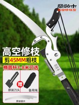 Saw Tree God Instrumental High Branches Cut Flex High Altitude Cutting of branches High Branches Saws With High Branches Saws Pruning Twigs Special Scissors