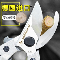 German import horticulture prunes prunes of fruit trees Scissors Flowers Branches Cut Flowers Wood Garden Tools Labor-saving Pruning Twigs Scissors