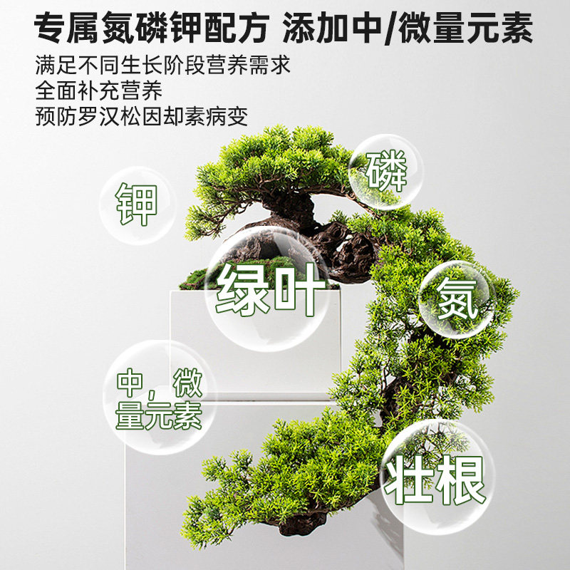 德国罗汉松专用肥营养液有机肥料花叶枯病黄叶盆景养护面肥迎客松,淘宝优惠券,粉丝福利购,淘宝优惠卷