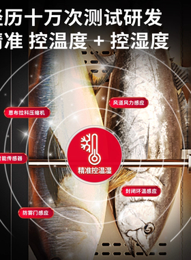鼎百风冷静音保鲜展示柜