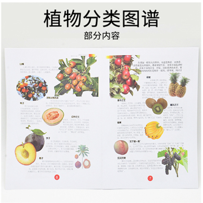 59008/9动物/植物分类图谱生命科学图谱小学科学实验器材教学仪器 - 图1