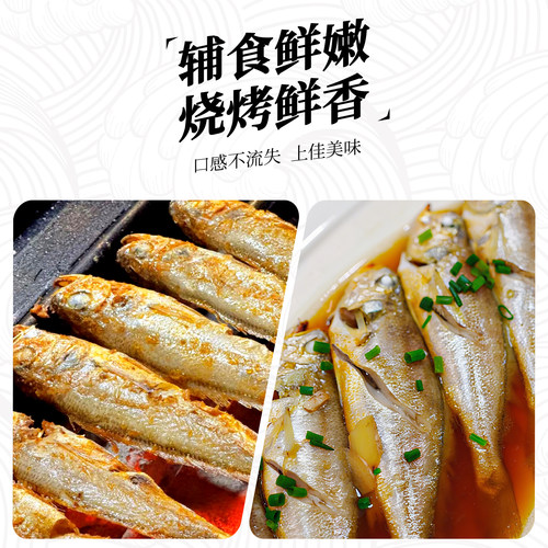 真正舟山小黄鱼新鲜冷冻深海海鲜水产黄花鱼生鲜冰鲜海鱼商用烧烤 - 图3