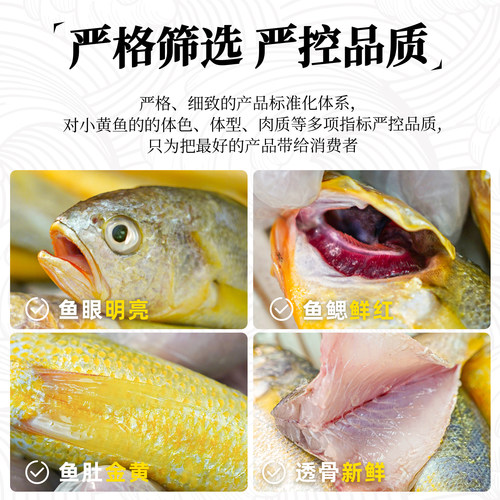 真正舟山小黄鱼新鲜冷冻深海海鲜水产黄花鱼生鲜冰鲜海鱼商用烧烤 - 图0