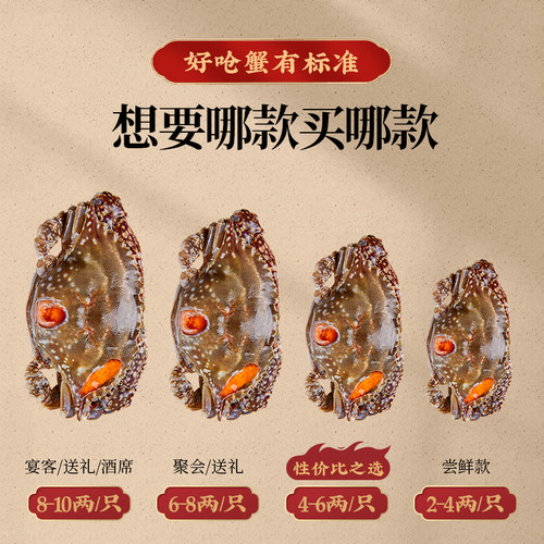 舟山红膏呛蟹整只酱母蟹宁波炝蟹梭子蟹咸蟹生腌螃蟹海鲜醉蟹即食 - 图3